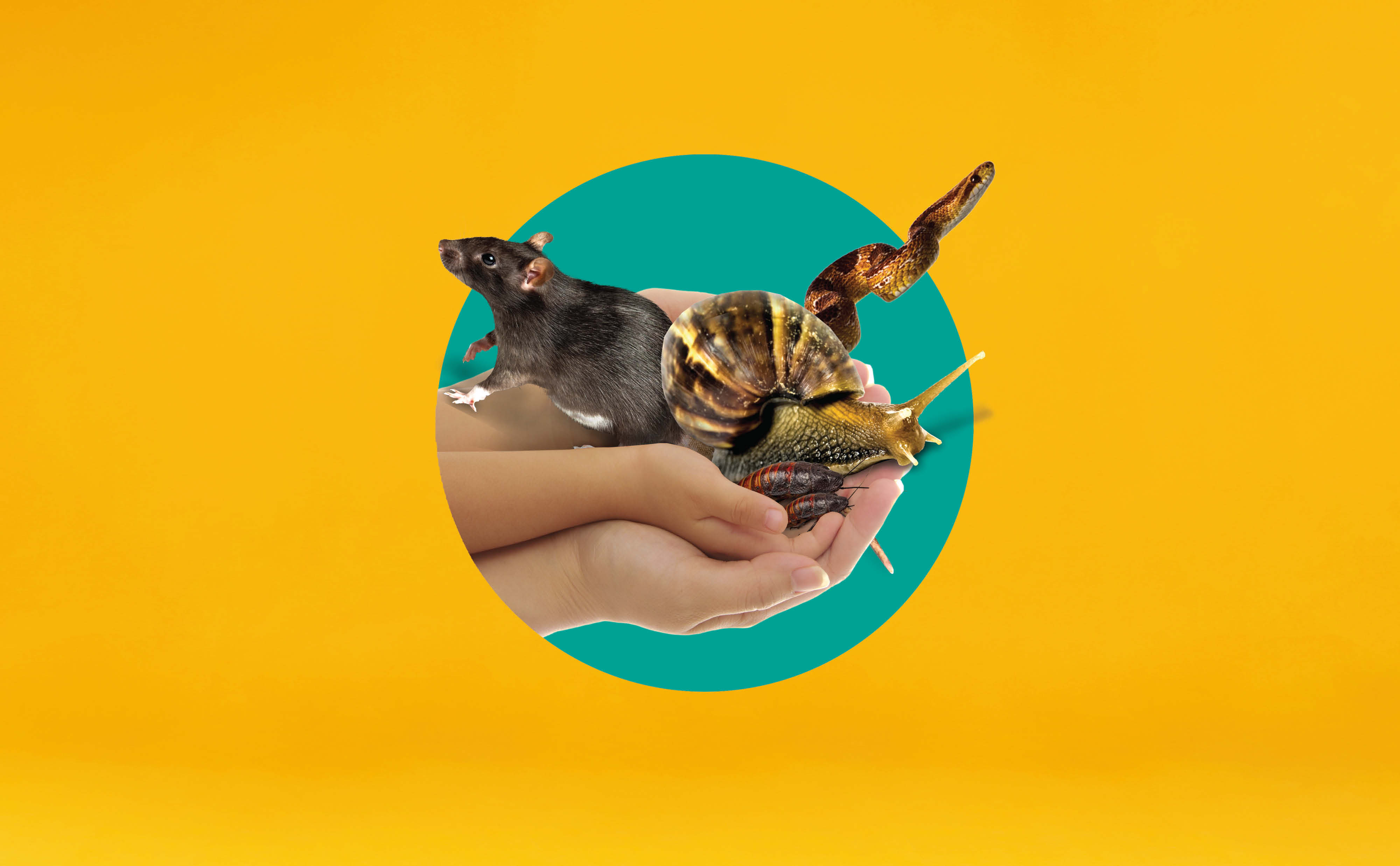 Caring For Living Things caring-for-living-things